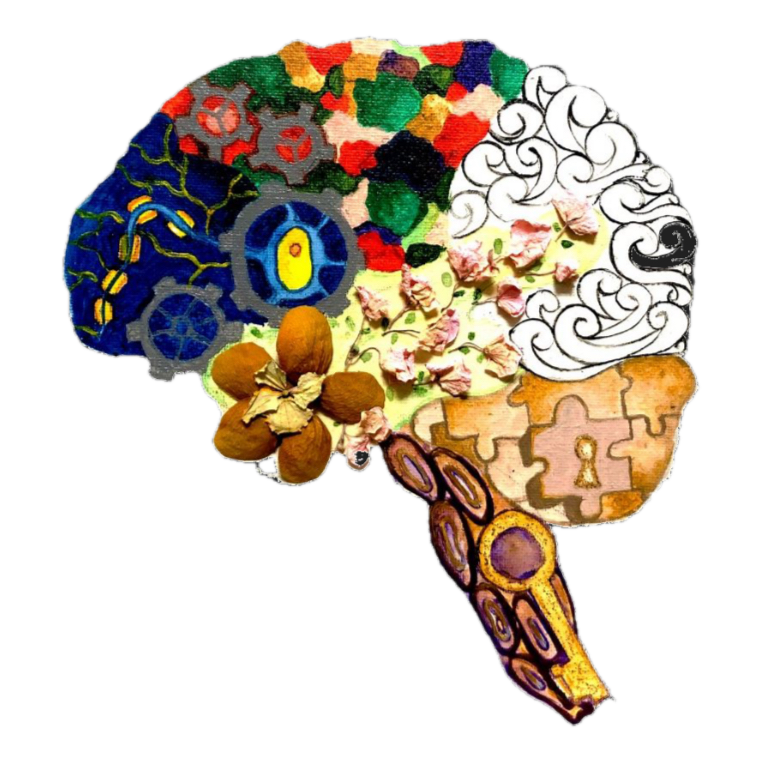 Brain illustration